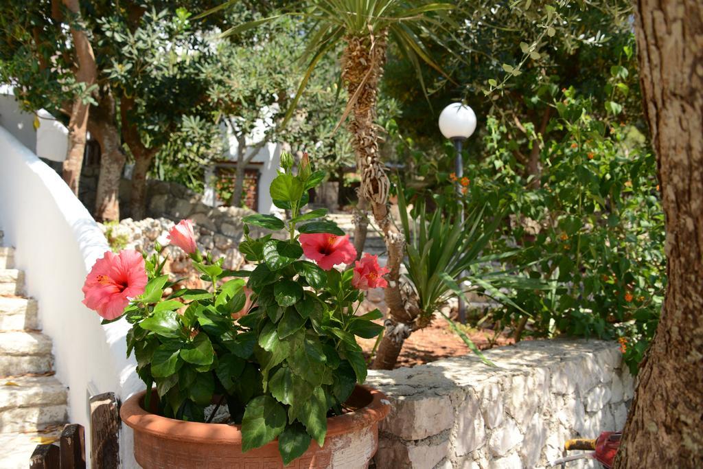 Willa L'Antico Ulivo Santa Cesarea Terme Zewnętrze zdjęcie